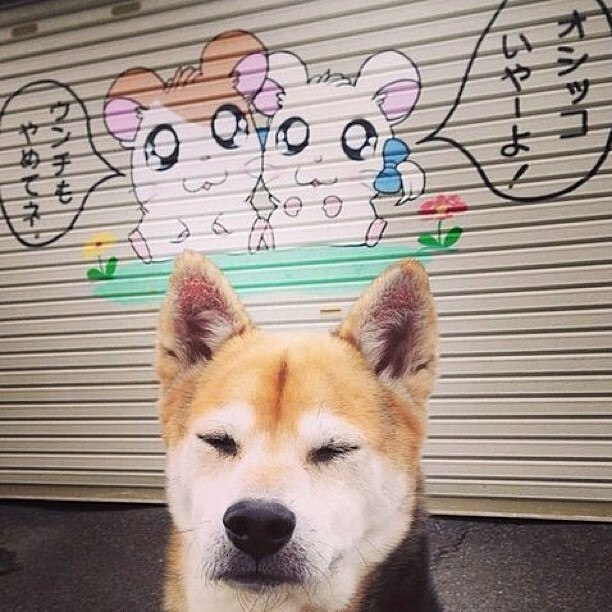 篮球运动员心理状态调节技术及运动表现影响研究,篮球运动中需要的心理技能