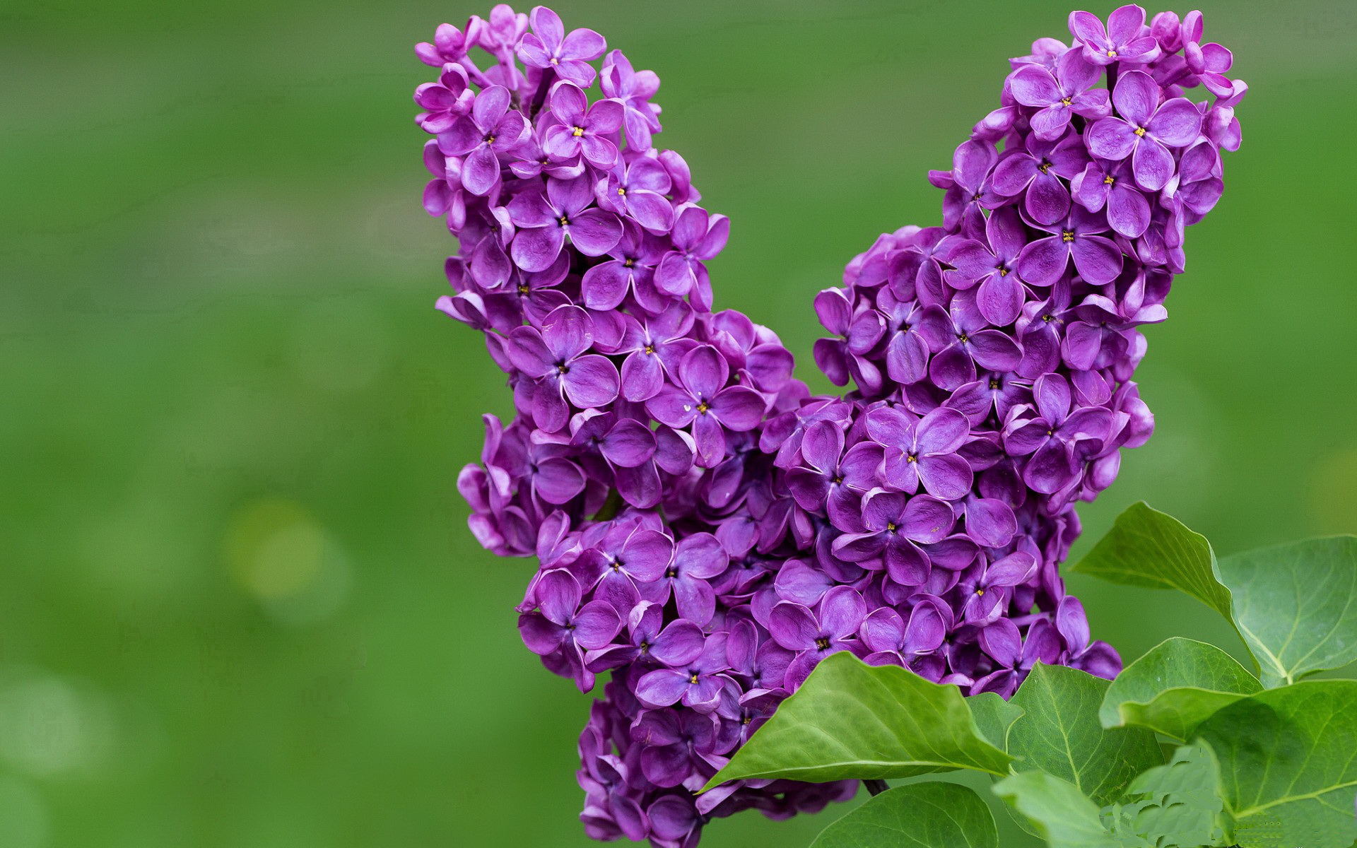 中国女篮积极提升投篮命中率,中国女篮积极提升投篮命中率视频