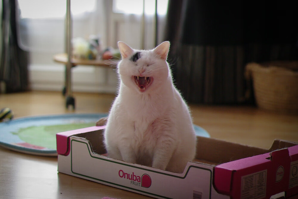 爱游戏体育（AYX）官方APP下载-中国三人篮球男队强化快节奏跑动效率，三人篮球 中国