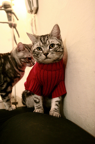 中超联赛商业模式为何难以持续,中超联赛商业价值