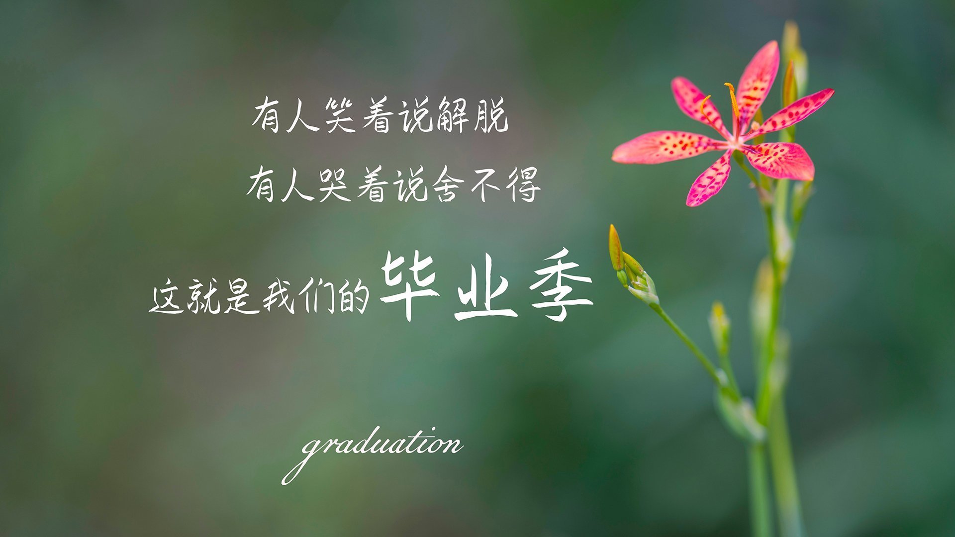 印度乒乓赛制的关键节点与未来走势,印度乒乓球员