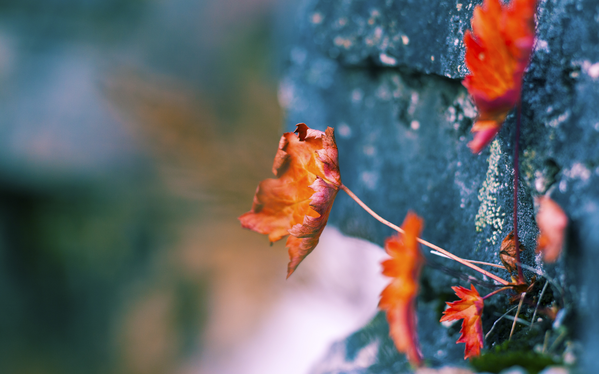 国家队备战资源分配不均衡,国家队备战保障产品