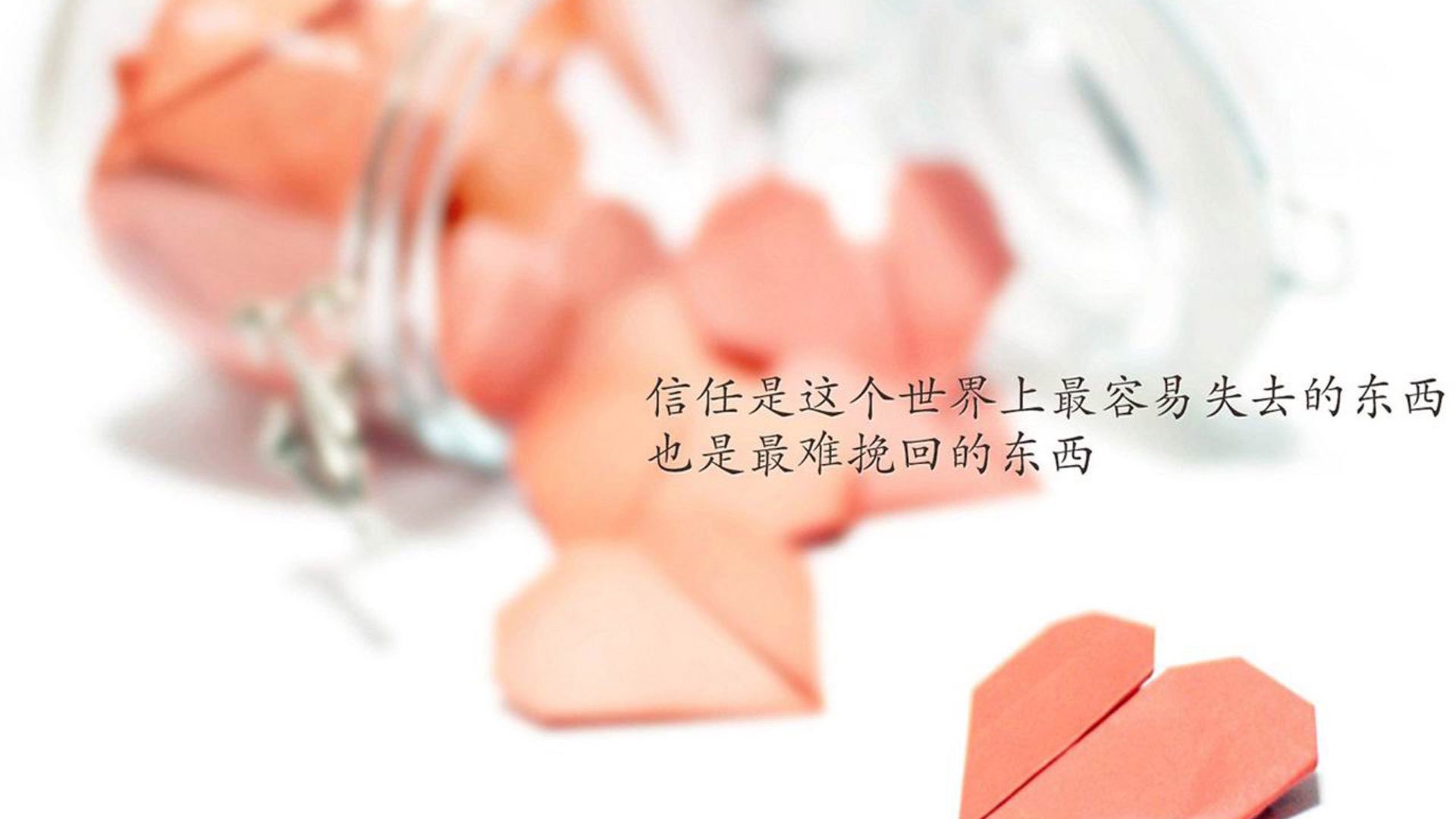 自由搏击教学视频进入教育短视频平台,自由搏击教学app