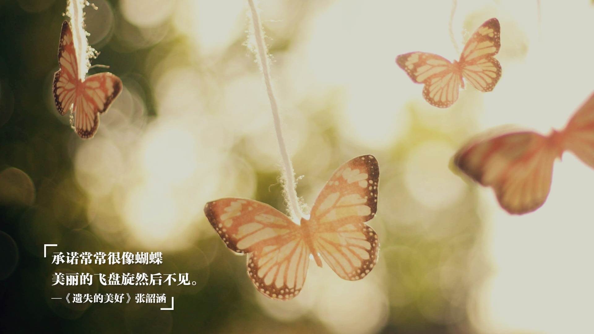 职业联赛缺少标志性国家德比赛事,没职业联赛