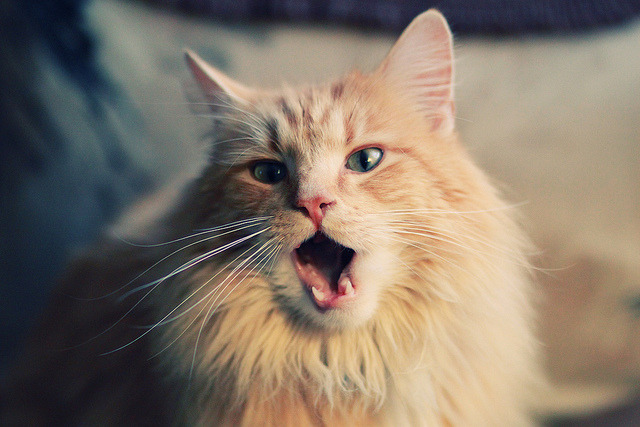 爱游戏娱乐-体育题材影视作品热播推动公众关注赛事背后故事，体育题材的电影