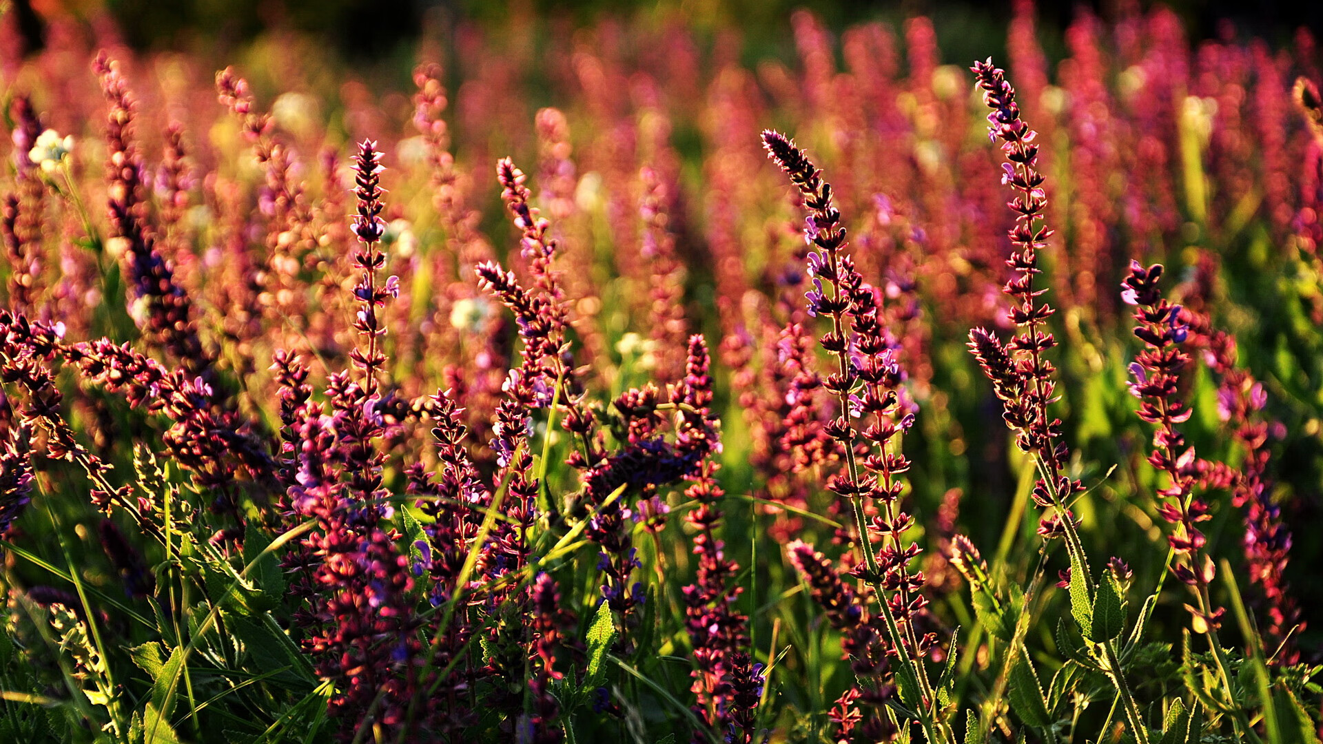 女子国家队搭建心理支持系统关注球员情绪健康