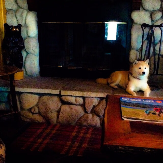 AYX体育官网-羽毛球教练研讨会聚焦选材与培训体系，羽毛球比赛教练