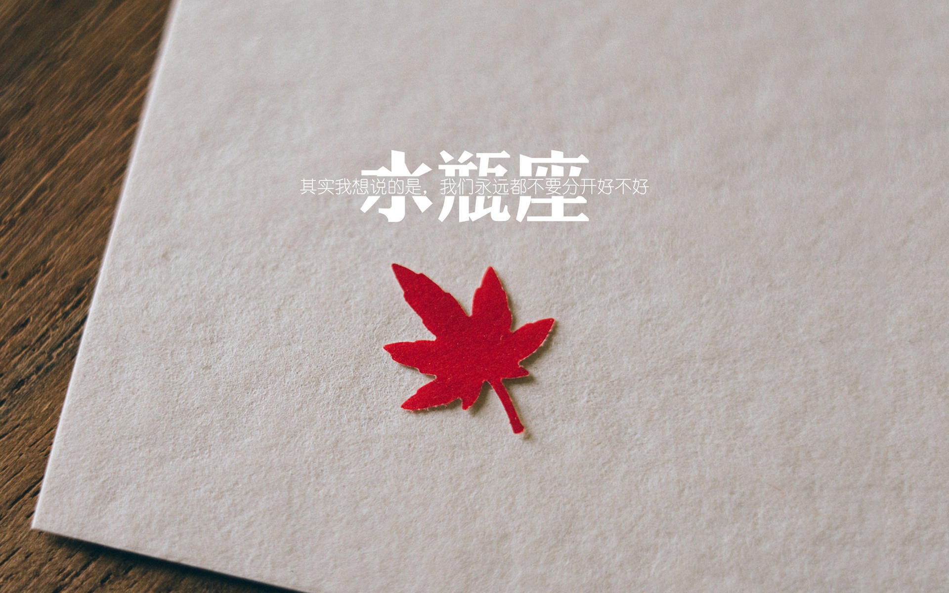 羽毛球教练研讨会聚焦选材与培训体系,羽毛球比赛教练