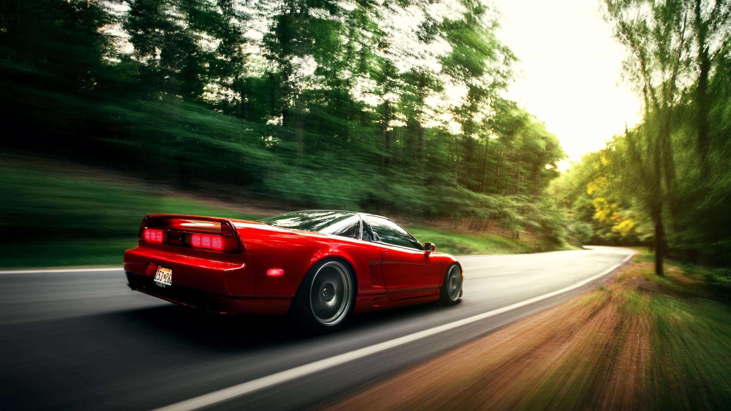 自由泳冲刺瑞士保持领先节奏,自由泳世界比赛视频